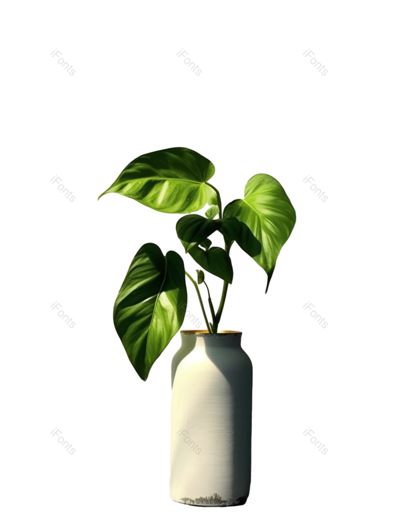 盆栽植物图片,风景元素,植物PNG,阳光免抠素材